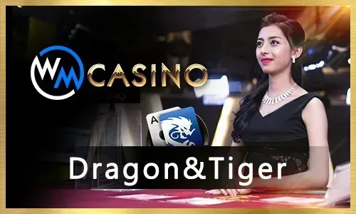 Jili333 Slot Games